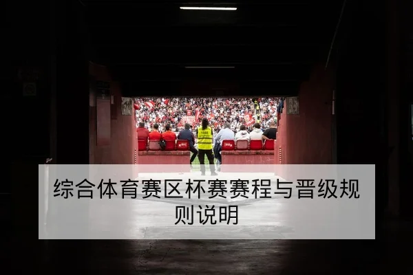 综合体育赛区杯赛赛程与晋级规则说明
